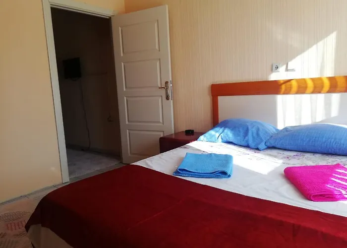 ゲストハウス Caseria Konukevi